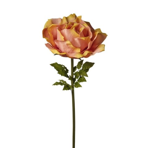 RAMO ROSA CM170 PESCA